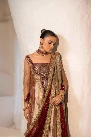 Dhanak