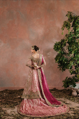 RANI